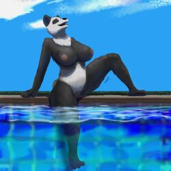 andy_234 anthro female female/female giant_panda hi_res mammal ursid vicky_panda_(andy234)