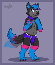 2022 anthro black_body black_ears black_fur black_nose black_tail blep blue_body blue_clothing blue_eyes blue_fur blue_hair blue_inner_ear blue_tail blue_underwear blush border bulge canid canine canis cheek_tuft chest_tuft claws clothing collar detailed_bulge dipstick_tail facial_tuft fur gaokun gesture gloves_(marking) grey_body grey_fur hair hi_res male mammal markings monotone_ears motion_lines multicolored_hair multitoned_fur multitoned_tail pawpads pink_body pink_fur pink_hair pink_pawpads pink_tail purple_background purple_border shadow simple_background solo standing tail_markings tail_motion tailwag toe_claws tongue tongue_out tuft two_tone_hair underwear watermark waving white_seam_underwear wolf