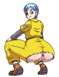 bulma briefs from dragon ball by hyoumaru