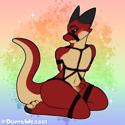 anthro bdsm black_sclera bondage bound curling_toes eyebrows feet frill_(anatomy) genitals green_eyes hands_behind_back hi_res horn kneeling kobold lizard male multicolored_body muzzle_(object) muzzled navel paws penis raised_eyebrows raised_tail red_body reptile restraints rope rope_bondage rope_harness scalie side_view smug smug_face smug_grin solo stonescales tail weaseldumb