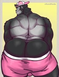 1boy anthro ass ass_cleavage ass_focus back_view bara_ass behind_view bending_over big_ass big_ass_(male) big_butt black_body black_fur blue_eyes bubble_ass bubble_butt butt_crack cap dat_ass dumptruck_ass dumptruck_butt earrings fat_ass fat_butt furry gay gradient_background grey_background huge_ass huge_butt hunnipanda looking_at_viewer looking_back male male_only monkey muscular muscular_ass muscular_butt muscular_male nose_ring pants_pulled_down pink_clothing pink_underwear plump_ass plump_butt round_ass round_butt smile smiling thick_ass thick_butt topless watermark yellow_background