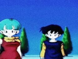 3girls animated bathing black_hair blue_eyes blue_hair bulma_briefs canonical_scene chichi clothed clothed_female clothed_female_nude_female clothing dragon_ball dragon_ball_z earrings edit female gif light-skinned_female light_skin milf naked nude nude_female smile videl