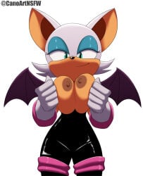 2d anthro bat busty busty_female busty_girl canoartnsfw cat_burglar curvaceous curvy curvy_body curvy_female curvy_figure curvy_hips female female_focus female_only hourglass_figure huge_boobs huge_breasts latex mobian mobian_(species) rouge_the_bat sega sexy sonic_(series) tagme voluptuous voluptuous_body voluptuous_female wide_hips