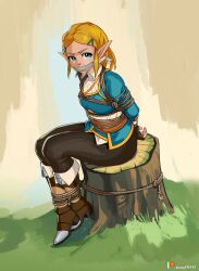 arms_tied_behind_back blonde_hair blue_eyes bondage bound_ankles breath_of_the_wild gag gagged looking_at_viewer over_the_mouth_gag pointy_ears princess_zelda sharpffffff sitting tears_of_the_kingdom the_legend_of_zelda zelda_(tears_of_the_kingdom)