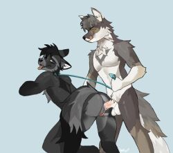 2025 amethedeer andromorph andromorph/male andromorph_penetrated anthro anthro_on_anthro balls biped black_body black_fur black_nose blue_background blue_eyes blue_leash bodily_fluids butt canid canine canis collar colored coyote cum dated digital_drawing_(artwork) digital_media_(artwork) duo erection fluffy fluffy_tail fur genital_fluids genitals grey_body grey_fur inner_ear_fluff intersex intersex/male intersex_penetrated leash leash_pull leashed_collar licking licking_lips looking_at_another looking_at_partner looking_back male mammal nude nude_andromorph nude_anthro nude_male open_mouth open_smile orange_eyes penetration penis signature simple_background smile snout tail tail_aside text tongue tongue_out tuft vein veiny_penis vulva white_inner_ear white_inner_ear_fluff white_text