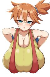 kasumi (pokemon) from nintendo by detritus