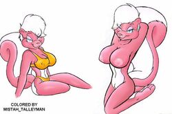 anthro bimbette female female_only fur furry greycat mistah_talleyman pink_fur skunk solo tagme tiny_toon_adventures warner_brothers white_hair