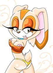 anthro breasts clothing color cream_the_rabbit female female_only fur furry huge_eyes pose rabbit sega solo sonic_(series) standing tagme toony