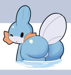 anthro big_ass bubble_butt huge_ass mudkip pokémon_(species) pokemon pokemon_(species) sleepysous tagme