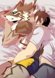 2boys abs anthro bed brown_body brown_fur brown_hair canid canine canis clothed clothing duo embrace fur furniture gay green_eyes hair hi_res hug human human_on_anthro interspecies jackal lifewonders male male/male male_only mammal multiple_boys muscular muscular_anthro muscular_male nokia1124_a seth_(tokyo_afterschool_summoners) shirt tokyo_afterschool_summoners topwear underwear underwear_only video_games white_body white_clothing white_fur white_shirt white_topwear yaoi