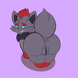 anus ass big_ass big_butt chillyspicky female feral fur furry furry_only genitals hi_res looking_at_viewer looking_back nintendo pokémon_(species) pokemon pokemon_(species) presenting presenting_anus presenting_hindquarters presenting_pussy pussy solo tail video_games zorua