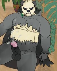 anthro balls bara big_penis black_balls black_penis bodily_fluids ches96 cum genital_fluids genitals giant_panda looking_at_viewer male male_focus male_only male_solo mammal nintendo nipple_piercing nipples pangoro penis piercing plant pokémon_(species) pokemon smile solo solo_male ursid video_games