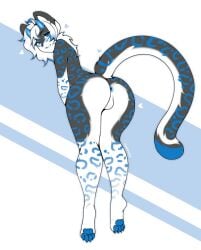 1boy anthro anus ass backsack balls blue_eyes domestic domestic_cat felid feline felis femboy feral fur genitals girly hair heterochromia male male_only mammal nude pantherine penis perineum reyanya snow_leopard solo tserera uncensored view