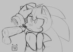 anthro big_hands big_penis blowjob cute cute_male furry gay knuckles_the_echidna male_only sega sonic_(series) sonic_the_hedgehog sonic_the_hedgehog_(series) sonknux yaoi