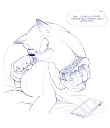 anthro blueseamoon cuntboy furry intersex pregnant pregnant_cuntboy sega solo sonic_(series) sonic_the_hedgehog sonic_the_hedgehog_(series)