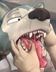 2022 absurd_res after_oral after_sex anthro beastars black_nose bodily_fluids canid canine canis close-up clothing cum cum_on_tongue duo fur gay genital_fluids hand_on_face hand_on_tongue hi_res legoshi_(beastars) lizardlars looking_at_another looking_at_partner male male/male male_only mammal open_mouth shirt solo_focus teeth tongue topwear white_body white_clothing white_fur white_shirt white_topwear wolf yaoi