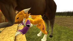 bulge digimon equine equine_penis feral feral_penetrating feral_penetrating_anthro foxgirl hay horse leaning_on_object male_on_top rabidus renamon zoophilia