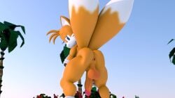 16:9 2_tails 3d 3d_(artwork) animated anthro anus ass ass_shake backsack ball_slap balls bedroom_eyes big_ass big_balls big_butt big_penis blender_(software) bouncing_ass butt canid canine cute digital_media_(artwork) dipstick_tail exposed_torso femboy feminine_tails footwear fox fuckboy fur furry furry_only gay genitals girly gloves handwear hi_res looking_at_viewer looking_back looking_back_at_viewer looking_pleasured male male_only mammal markings miles_prower multi_tail narrowed_eyes no_sound orange_body orange_fur outside penis presenting presenting_anus presenting_hindquarters seductive sega shaking_butt shoes short_playtime slap smile smiling_at_viewer solo sonic_(series) sonic_the_hedgehog_(series) spread_anus spreading tagme tail tail_markings tails teasing thick_thighs twerking twintails3d video webm widescreen yaoi