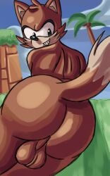 akenju anthro ass balls brown_body brown_fur canid canine fox fox_bullies_(sonic_origins) fur genitals grin hi_res looking_back male male_only mammal palm_tree plant sega sky smile solo sonic_(series) sonic_origins sonic_the_hedgehog_(series) tree