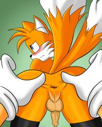 absurd_res animal_humanoid anus anus_focus ass ass_focus balls canid canid_humanoid canine canine_humanoid clothing embarrassed fox fox_humanoid fur gay genitals gloves hand_on_butt handwear hi_res humanoid legwear male male/male mammal mammal_humanoid multi_tail orange_body orange_fur sega sodaska solo sonic_(series) sonic_the_hedgehog_(series) spread_anus spread_butt spreading stockings submissive submissive_male tails thigh_highs