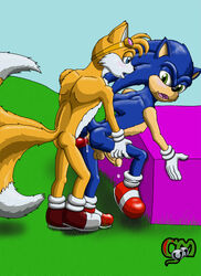 anthro cobra_mcjingleballs fox fur furry furry_only furry_tail gay hedgehog interspecies male male_only multi_tail multiple_boys sex sonic_(series) sonic_the_hedgehog sonic_the_hedgehog_(series) sonic_the_hedgehog_2 tagme tail tails yaoi