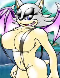 anthro bat breasts color dominatrix_lady_silver fangs female female_only fur furry rouge_the_bat smile solo sonic_(series) standing tagme vulva wings