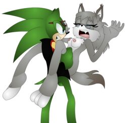 anthro breasts carrying clothes color feline female fur furry glasses hedgehog interspecies katrina_the_lynx krazykacophony lynx male nipples nude scourge_the_hedgehog sex sonic_(series) standing straight tagme testicles