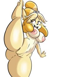 isabelle (animal crossing) from animal crossing by nathanatwar