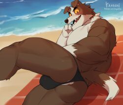 2022 anthro anus ass barely_visible_anus beach biped blush brown_body brown_fur bulge canid canine canis digital_media_(artwork) domestic_dog fur gakujo hi_res looking_at_viewer looking_back looking_back_at_viewer lying male male_focus male_only male_solo mammal multicolored_body multicolored_fur muscular muscular_anthro muscular_male on_side open_mouth open_smile seaside sharp_teeth smile solo solo_male teeth two_tone_body two_tone_fur white_body white_fur yellow_eyes