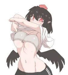 big_breasts formicid shameimaru_aya tagme touhou underboob underwear undressing