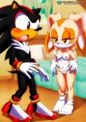 bbmbbf blush breasts cream_the_rabbit cub diamond_level female fur furry medium_breasts palcomix palcomix_team palcomix_vip palcomixvip.com panties pietros_secret_club shadow_the_hedgehog sonic_(series) sonic_the_hedgehog_(series) yiff young