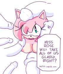 amy rose from sonic (series) by leahth sins