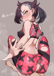 gym leader from nintendo by karaikabe