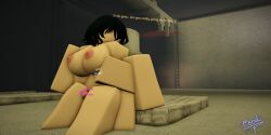 3d decaying_winter grinding groping_breasts meevl nervous roblox roblox_game robloxian self_upload tagme