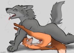 anal anal_sex anthro anthro_on_anthro anthro_penetrated anthro_penetrating anthro_penetrating_anthro bodily_fluids canid canine canis closed_eyes cum cum_on_self cum_while_penetrated cumshot duo ejaculation erection fluffy fluffy_tail fox genital_fluids genitals hands-free hi_res larger_male legs_up male male/male male_penetrated male_penetrating male_penetrating_male mammal naked nude open_mouth penetration penis schmutzo simple_background size_difference smaller_male smaller_penetrated surprised_expression tongue tongue_out wolf