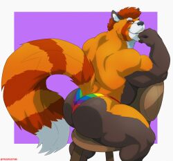 2022 absurd_res ailurid animal_humanoid anthro ass ass_focus ass_view back_muscles bara bara_ass barazoku biceps big_ass big_ass_(male) big_butt big_muscles border bubble_ass bubble_butt chair claws clothing dat_ass dat_butt dumptruck_ass dumptruck_butt eyebrows fat_ass fat_butt fur furniture hair hi_res huge_ass huge_butt huge_muscles humanoid large_ass large_butt lgbt_history_month lgbt_pride looking_at_viewer male male_only mammal massive_ass massive_butt muscle_ass muscle_butt muscular muscular_anthro muscular_ass muscular_butt muscular_male plump_ass plump_butt pride_color_clothing pride_color_underwear pride_colors purple_background rainbow_pride_colors red_panda round_ass round_butt simple_background sitting smile solo teeth thick_thighs thong tuft tylerstark underwear white_border