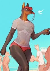 1girls anthro beach bebebebebe breasts canine doberman dobermann_(bebebebebe) domestic_dog female female_focus hi_res lifeguard nipples_visible_through_clothing shorts wet_body wet_clothes wet_t-shirt whistle