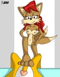 3pac anthro breasts canine color female femdom footjob fox fur furry male male_pov nipples nude penis pov rosemary_prower sonic_(series) standing straight tagme tails unseen_male_face vulva