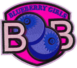 blueberry girl_scout girl_scouts patch sinope tagme