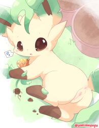 eeveelution female feral flower genitals hi_res leafeon lying nakimayo nintendo plant pokemon pokemon_(species) pussy solo video_games yellow_body