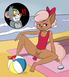 1boy 1girls anus beach black_eyes black_nose blush brokenbone clothing comic domestic_cat felid feline felis female female_focus fluffy fluffy_tail fur genitals hi_res male mammal pink_clothing pink_ribbon pink_swimwear pussy sand seaside smile solo_focus spread_legs spreading swimwear tan_body tan_fur tom_and_jerry tom_cat turner_entertainment