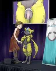 accessory balls bodily_fluids cock_ring female genitals hi_res human jewelry legendary_pokémon male mammal mindkog nintendo penis penis_accessory penis_jewelry pokémon_(species) pokemon video_games zeraora