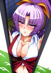 1girls tagme tatsuya_(guild_plus) touhou watatsuki_no_yorihime