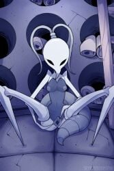 breasts female female_only hollow_knight iselda_(hollow_knight) presenting pussy seyerusednsfw spread_legs spread_pussy