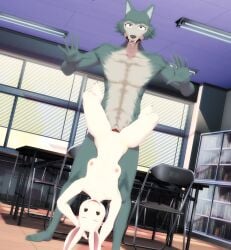 anthro anthro_on_anthro anthro_penetrated anthro_penetrating anthro_penetrating_anthro beastars canid canine canis caught classroom cock_hanging female female_penetrated fur genitals haru_(beastars) hi_res knot_hanging knotting lagomorph larger_male legoshi_(beastars) leporid male male/female male_penetrating malicekira mammal nude penetration predator/prey public pussy rabbit school size_difference upside-down vaginal_penetration vaginal_penetration white_body white_fur wolf worried