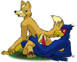 anthro buggery color falco_lombardi fox fox_mccloud fur furry furry_only gay interspecies male male_only multiple_males no_humans pheasant sex star_fox tagme yaoi