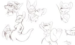 disney kanga mel_the_hybrid monochrome nipples pussy rabbit_(winnie_the_pooh) roo rough_sketch smooth_skin winnie_the_pooh_(franchise)