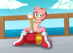 amy rose from sega by 1lastshadow1
