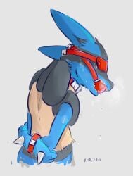 ambiguous_gender anthro arms_behind_back ball_gag blindfold blindfolded bondage bound collar discocci furry gag gagged lucario pokemon pokemon_(species) pokemon_dppt restraints