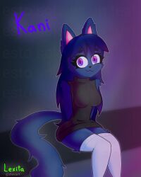 female fox furry furry_female furry_fox furry_only kani(lexita) lexita long_socks purple_eyes sfw socks